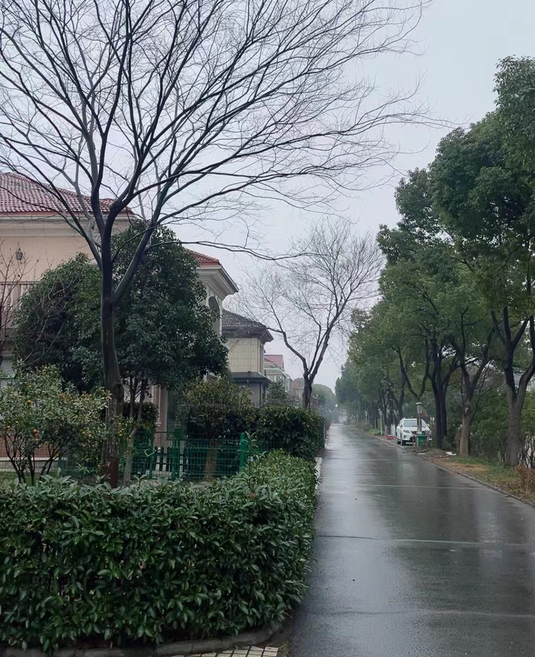 新年好，大展宏图、财源茂盛、万物聚力待发、传递着新年祝福、快乐